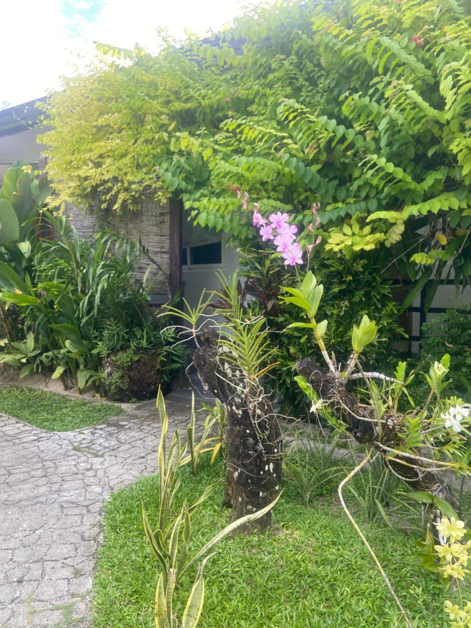 Vivo Siargao Hotel Хенерал Луна Екстериор снимка